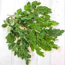 Moringa