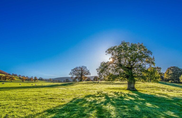 Read more about the article Vitamin D: Let the Sun In